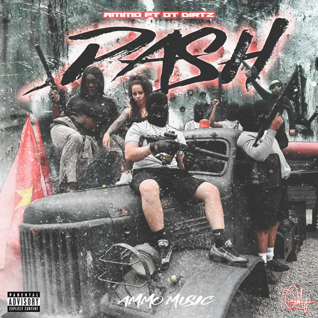 Dash cover art