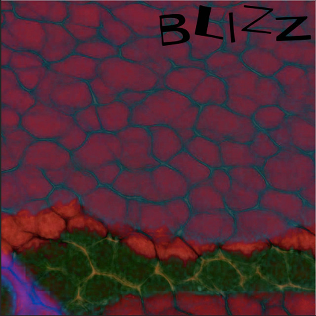 Sally cover art