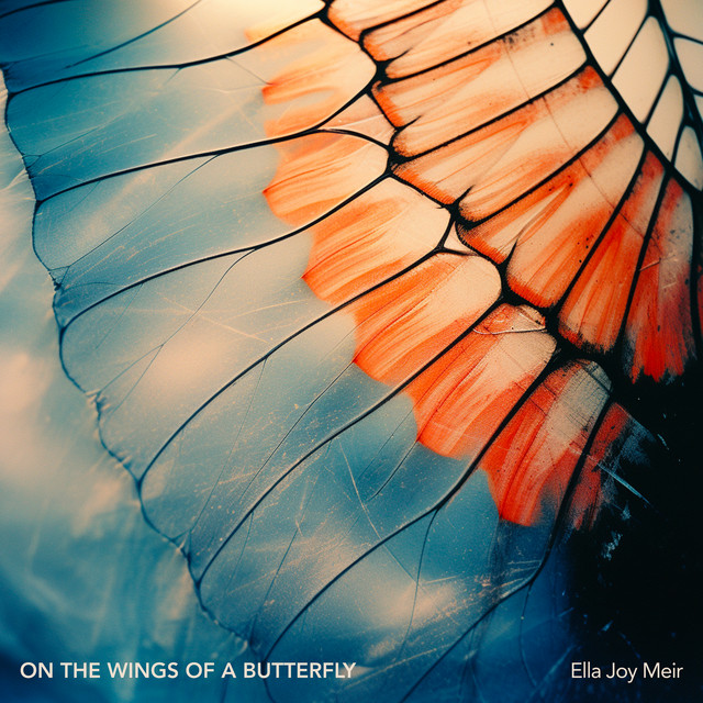 On the Wings of a Butterfly cover