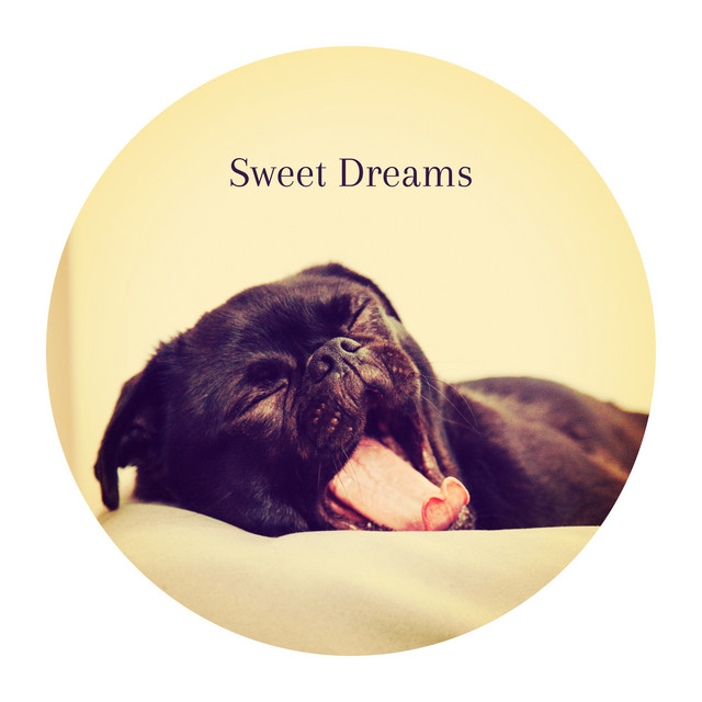 Sweet Dreams cover art