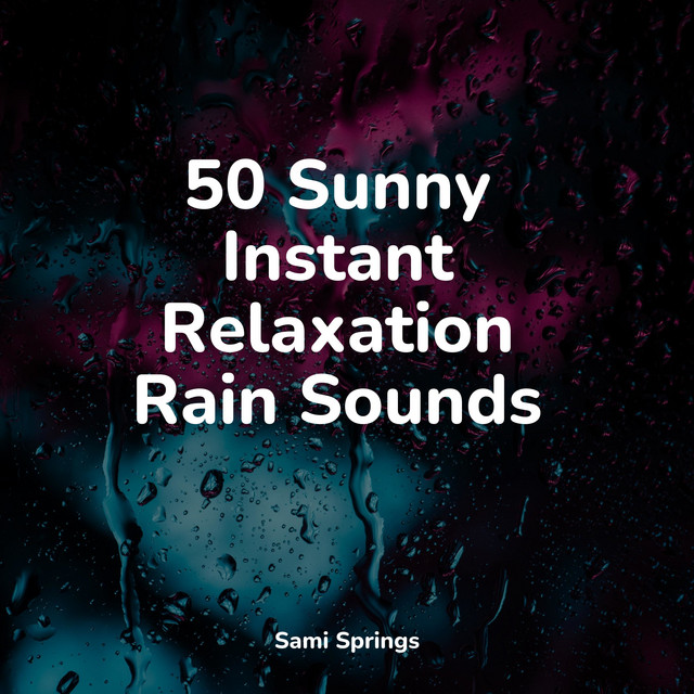 Cover of 50 Sunny Instant Relaxation Rain Sounds by Deep Focus