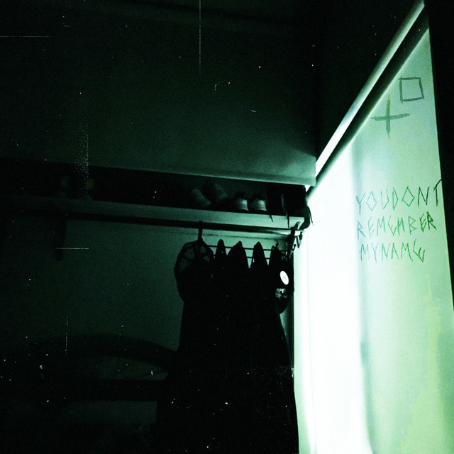 YOUDONTREMEMBERMYNAME cover art