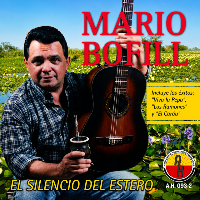 El silencio del Estero cover art