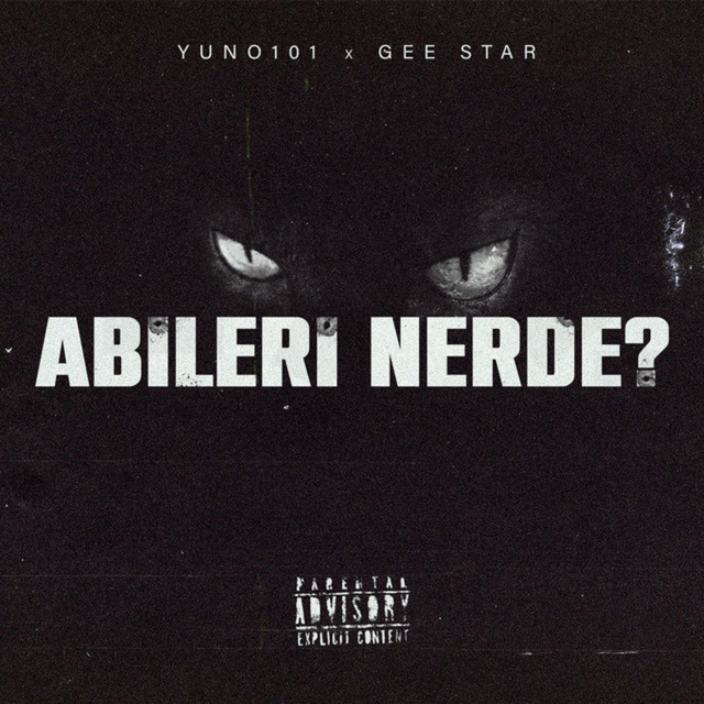 Abileri Nerde ? cover art