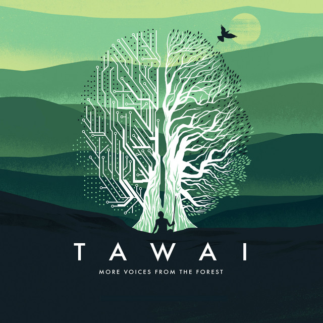 Tawai - More Voices from the Forest