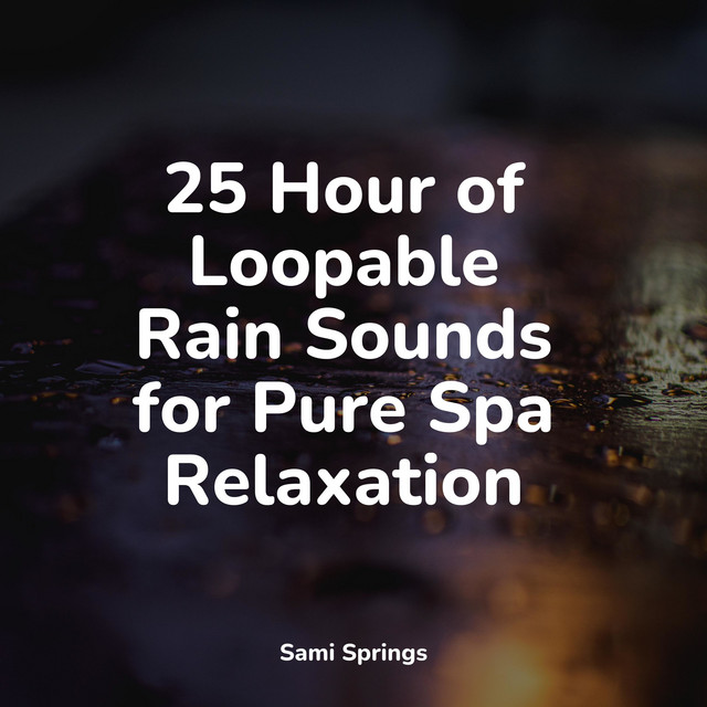 25 Hour of Loopable Rain Sounds for Pure Spa Relaxation - Album by ...