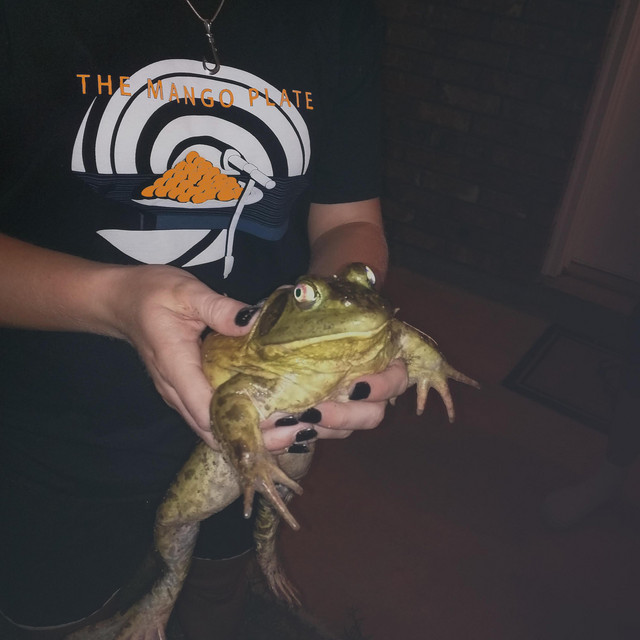 undefined album image