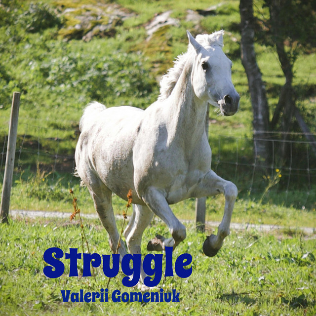 Обкладинка: Struggle — Valerii Gomeniuk