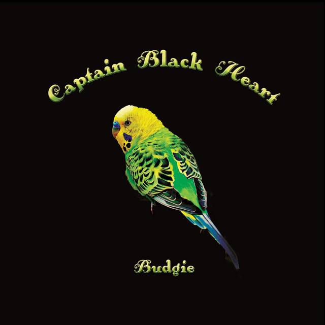 Budgie Album By Captain Black Heart Spotify