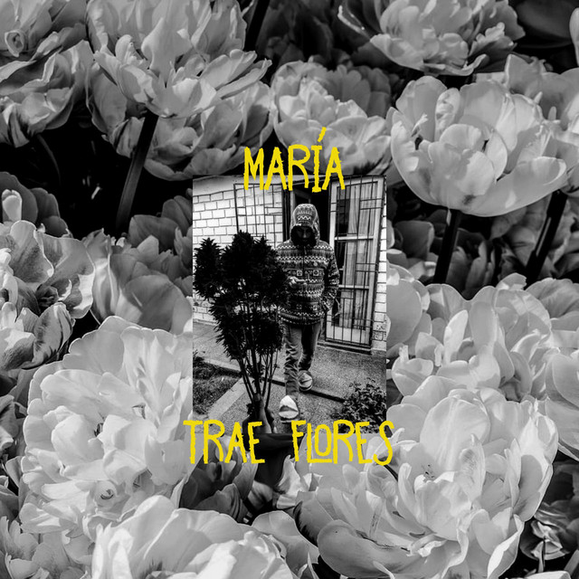 Maria trae flores cover art