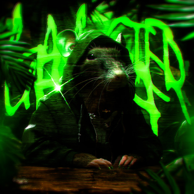 Обкладинка SXLLX — Gangster Rata
