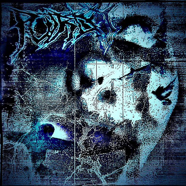 Reduced to Ashes cover art