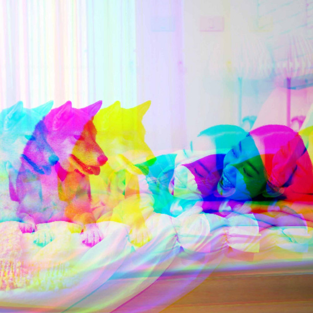 Mellow Bossa Guitar Trio - Background for Trained Doggy cover art