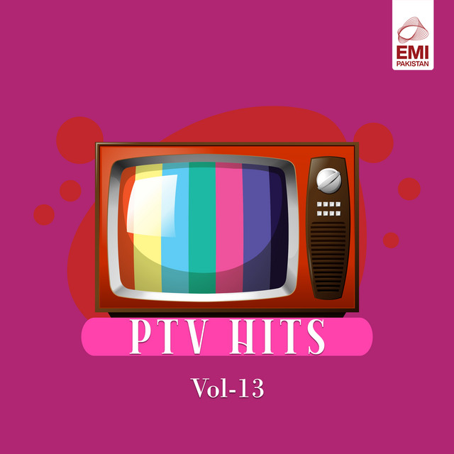 Ptv. Hits, Vol. 13 cover art