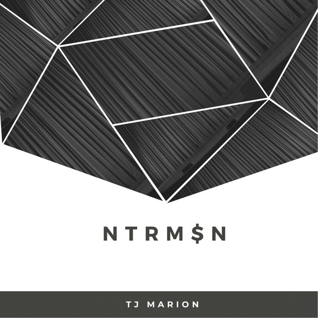 NTRM$N cover art