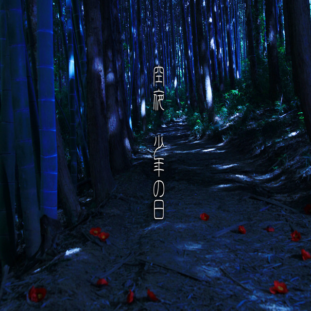 Meteoric Eyes cover art