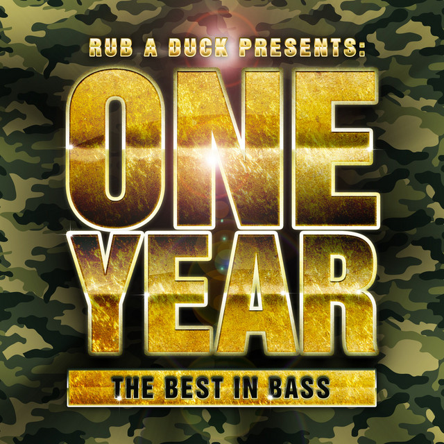 Rub a Duck presents One Year the Best in Bass cover art