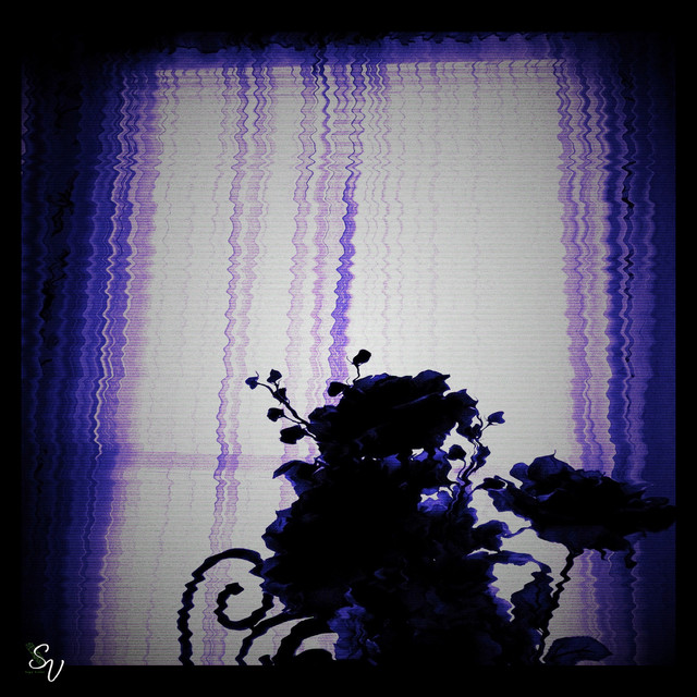 Everything B4 cover: a flower silhouette against a violet, glitching window