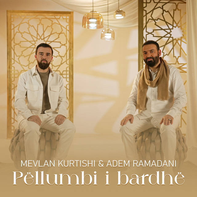 Pëllumbi i bardhë