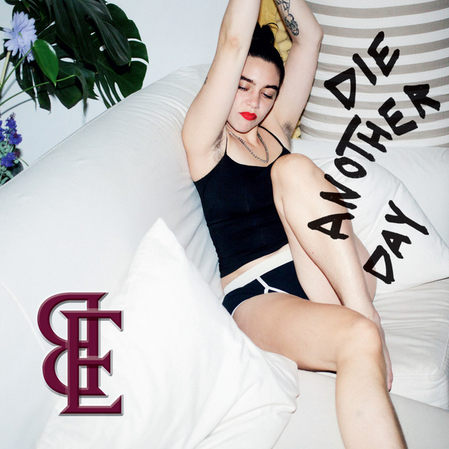 Die Another Day cover art