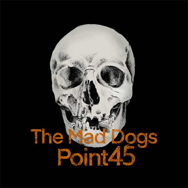 Point 45 cover