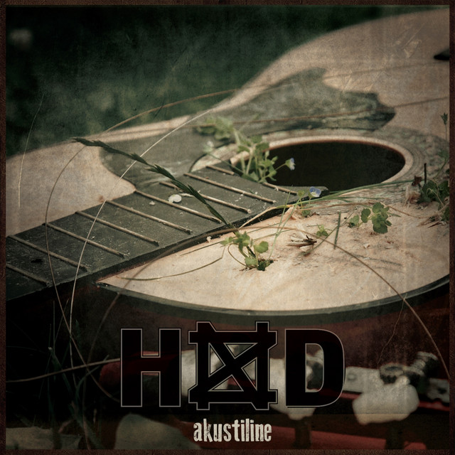 Akustiline cover art