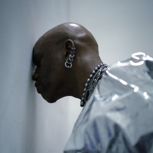 Flex album art