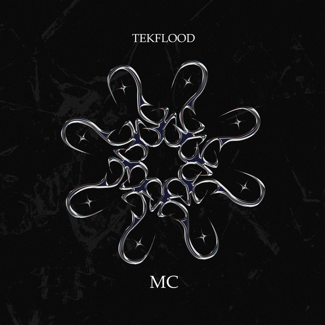Обкладинка: MC — TEKFLOOD