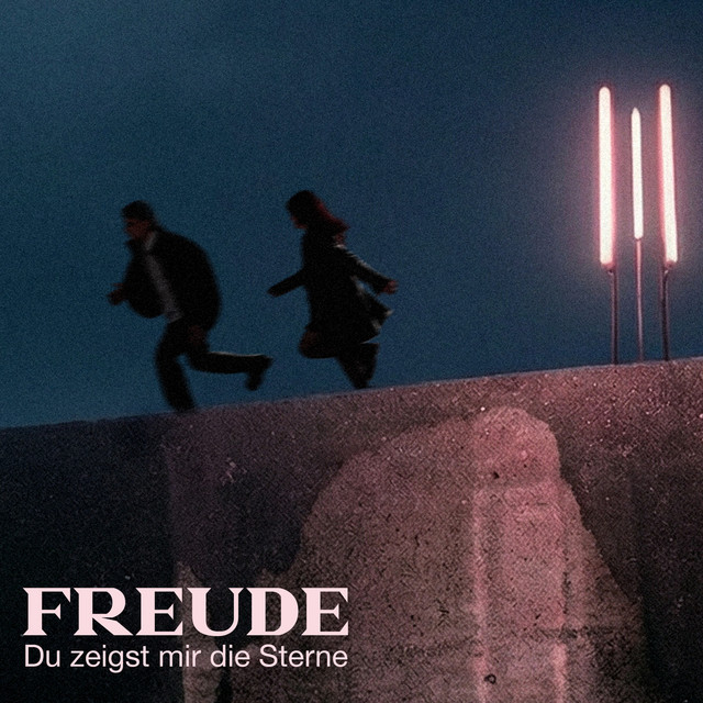 Du zeigst mir die Sterne