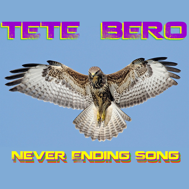Never Ending Song cover art