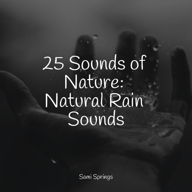 25 Sounds of Nature: Natural Rain Sounds - Album by Raindrops Sleep ...