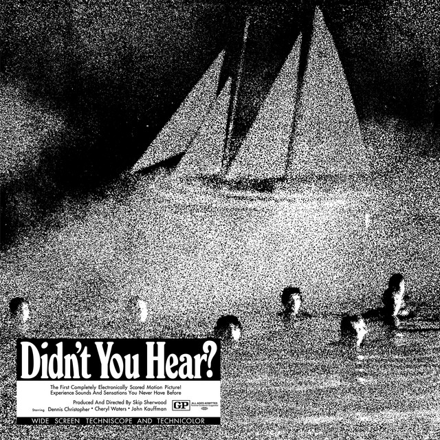 Didn't You Hear? cover art