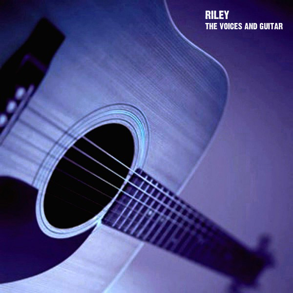 The Voices And Guitar cover art