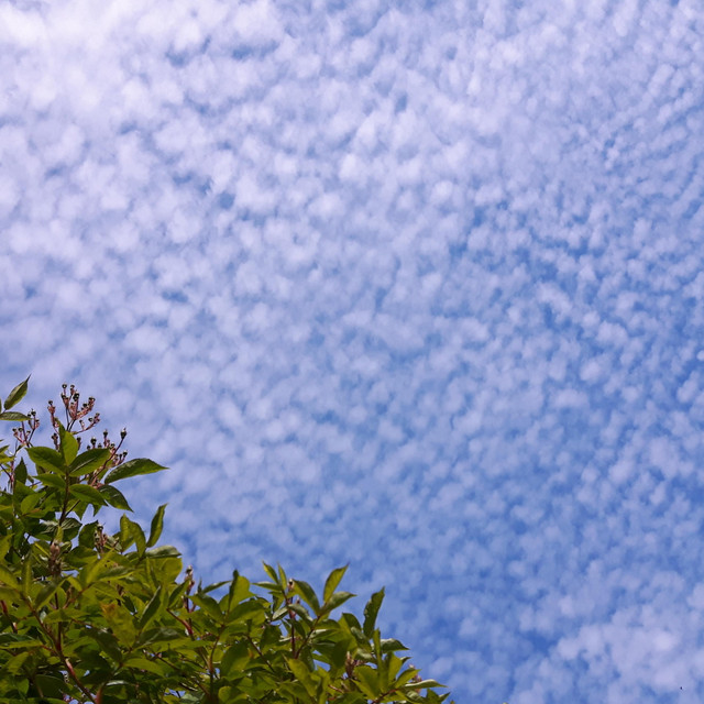 Muryo Song By Yaiba Spotify