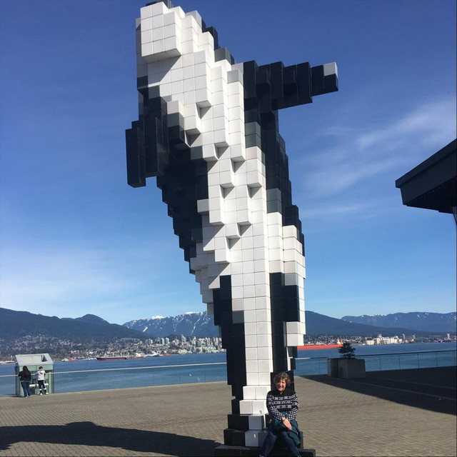 Swimming Orcas cover art