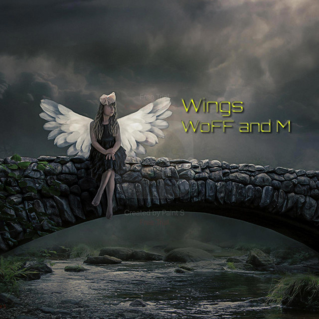 Wings