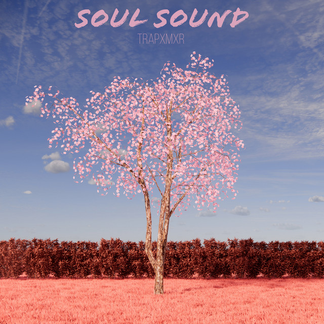 Soul Sound cover art