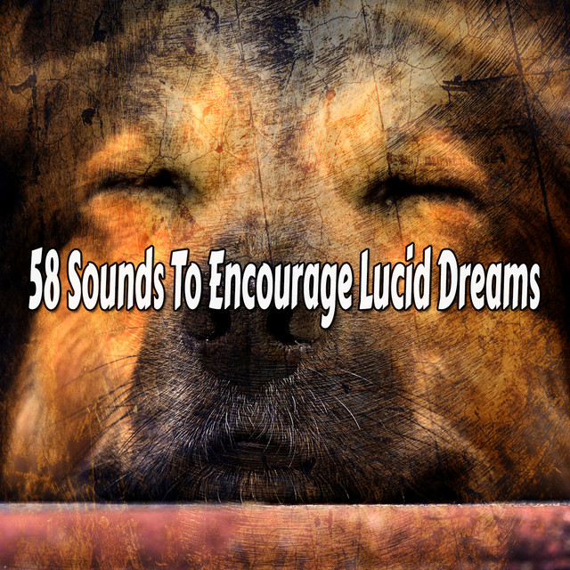 58 Sounds To Encourage Lucid Dreams cover art