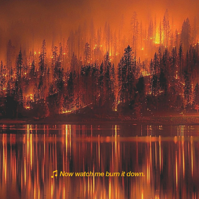 Burn it Down cover art