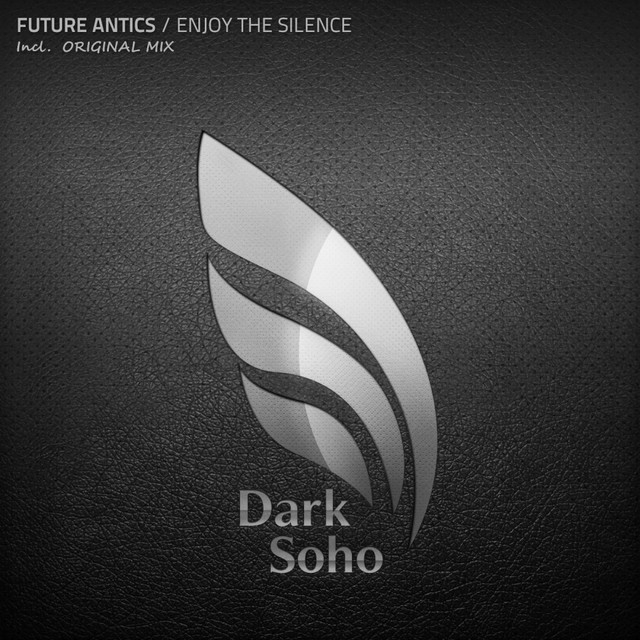 Enjoy The Silence cover