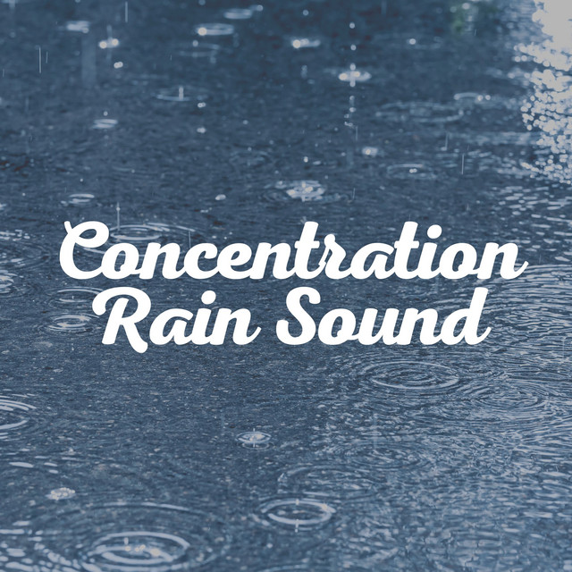 Concentration Rain Sound cover art