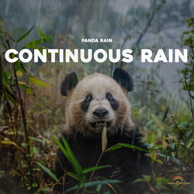 Continuous Rain cover art