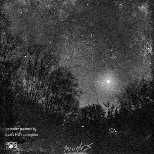 WxlfPack II: 9NIGHTS cover art