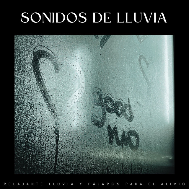 Sonidos De Lluvia: Relajante Lluvia Y Pájaros Para El Alivio - Album by ...