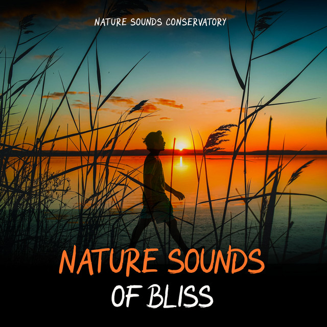 Gentle Rustling - song and lyrics by Nature Sounds Conservatory | Spotify