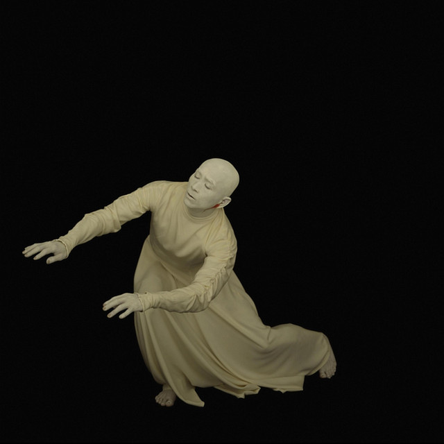 Zlegaladygaga cover art