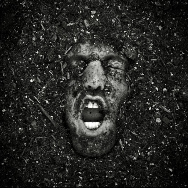 Dig My Grave by TRASH DAY