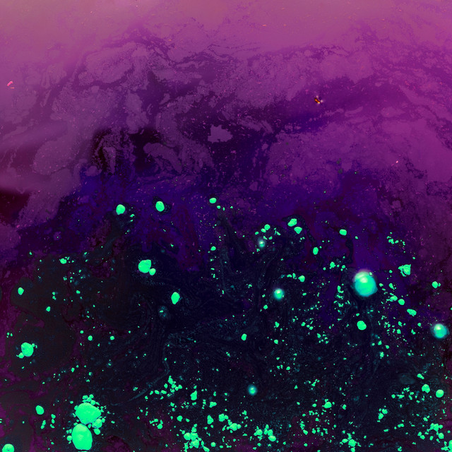Vortex cover art