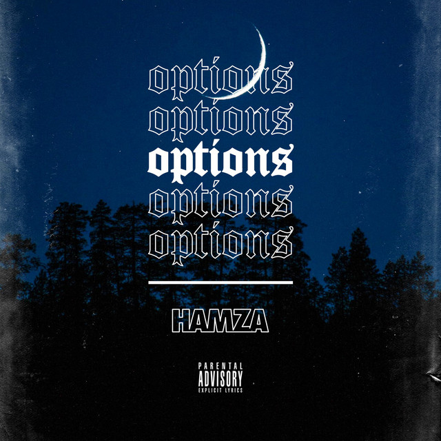 Options cover art