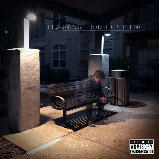 Learning from Experience cover art